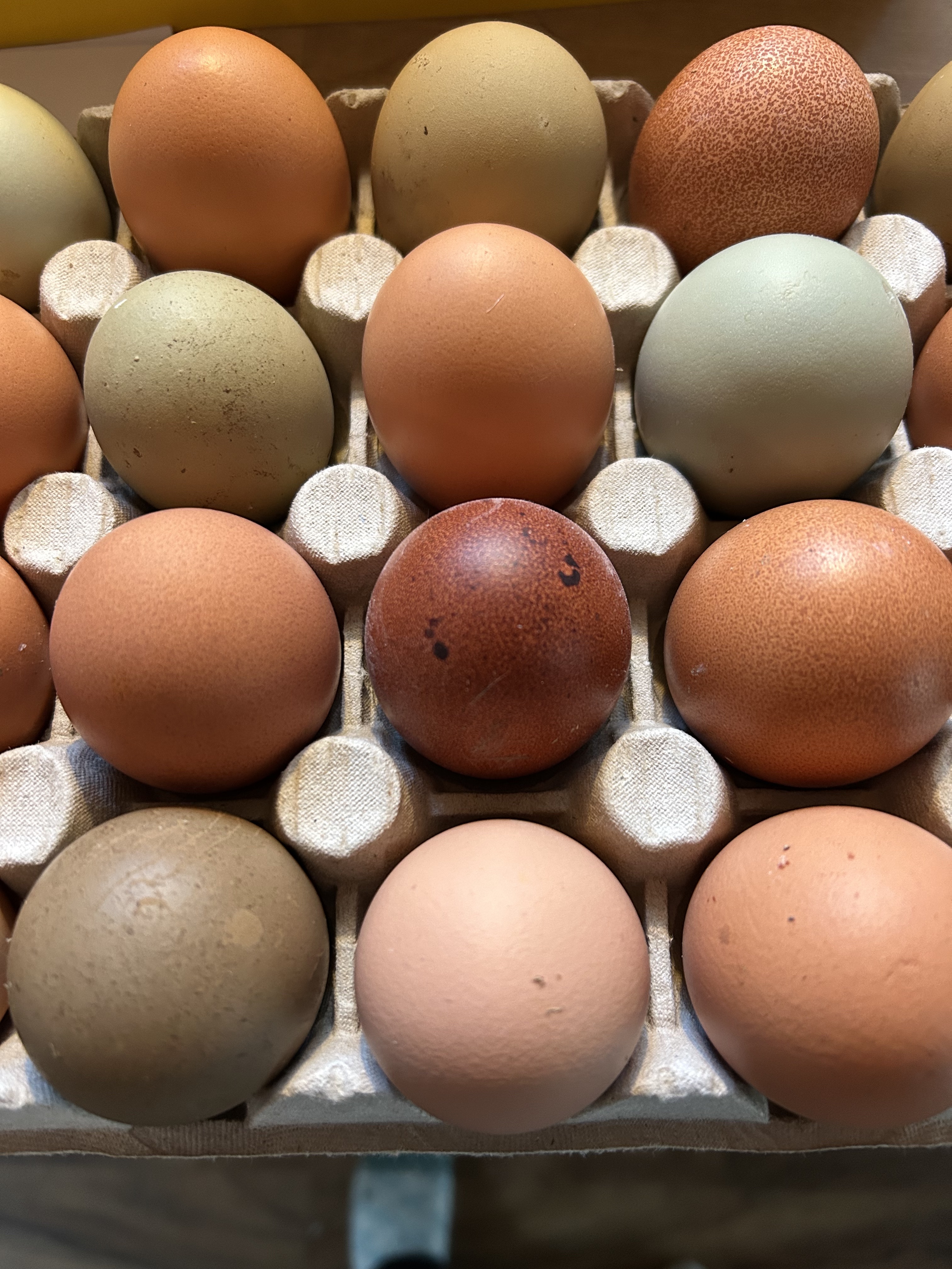 Hönsägg i kartong